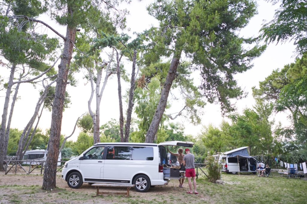 der weiße VW Bus auf dem Campingplatz mit Kiefern drum rum