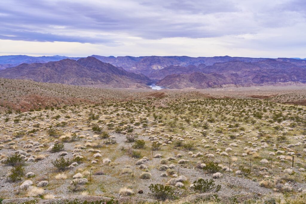 eine Steppenlandschaft in USA mit lila Bergen und einem Fluss.