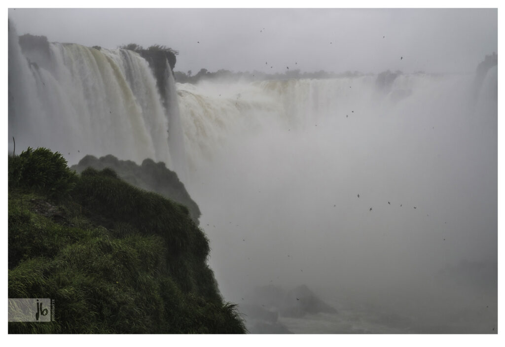 Iguazúwasserfälle beherbergen viele Vögel die hinter dem Vorhang von Wasser ihre Nester haben und ständig durch fliegen.