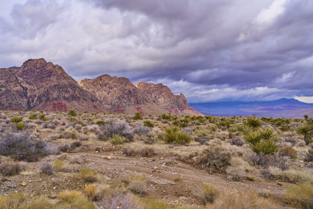 die Red Rocks kurz nach Las Vegas mit Steppenlandschaft und wolkenbehangenem Himmel