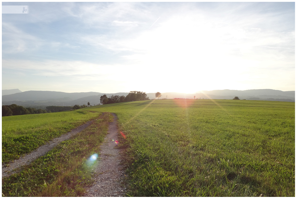 Sonnenuntergang auf einem Feld