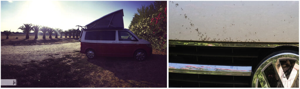 der VW Bus California Ocean in rotweiß auf seiner Wildcampingstelle in Portugal mit Ameisenstraße auf der Motorhaube