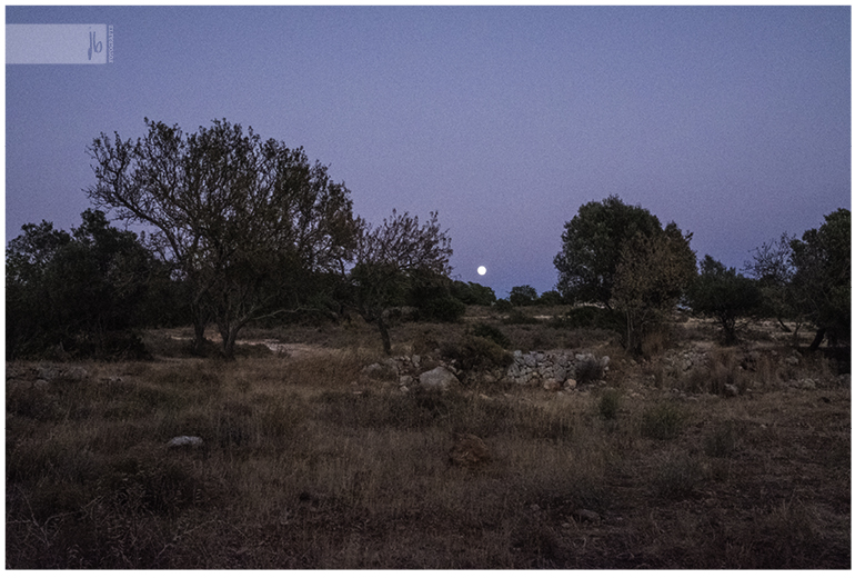 wildcampingstelle in Portugal mit kleinen Mauern und dem Mond am Himmel