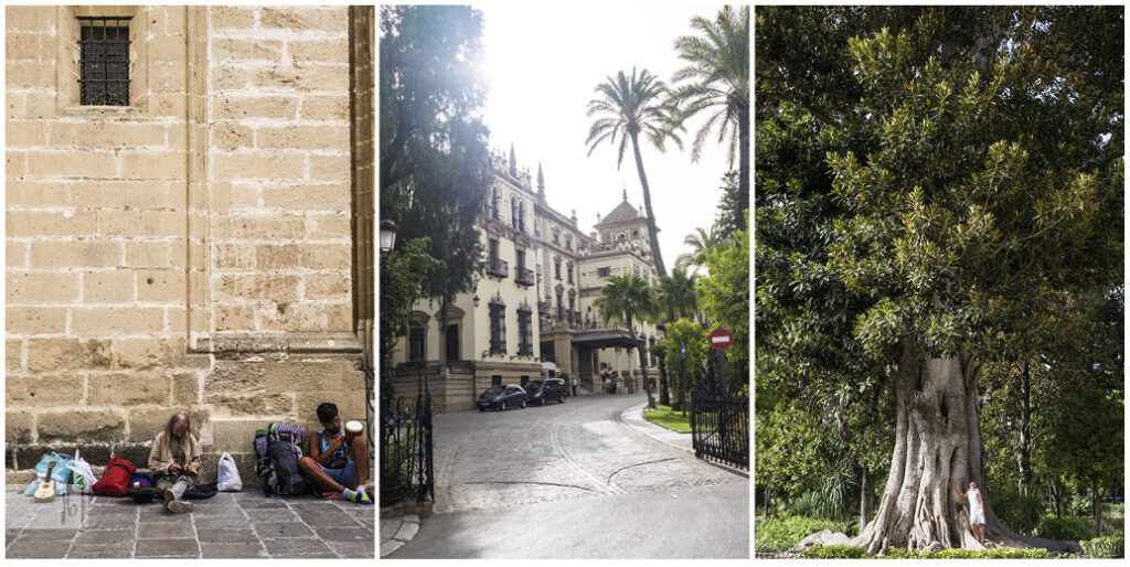 Details in Sevilla mit einem Bettler und jungen Leuten sowie einem riesigen Feigenbaum