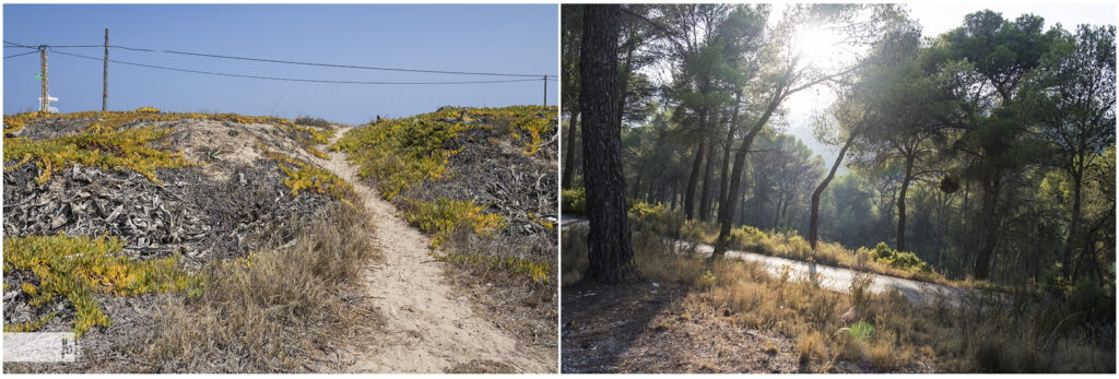 Landschaftsaufnahmen in Portugal