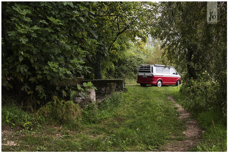 VW Bus California Ocean in rot und weiß auf einem Feldweg umringt von Bäumen