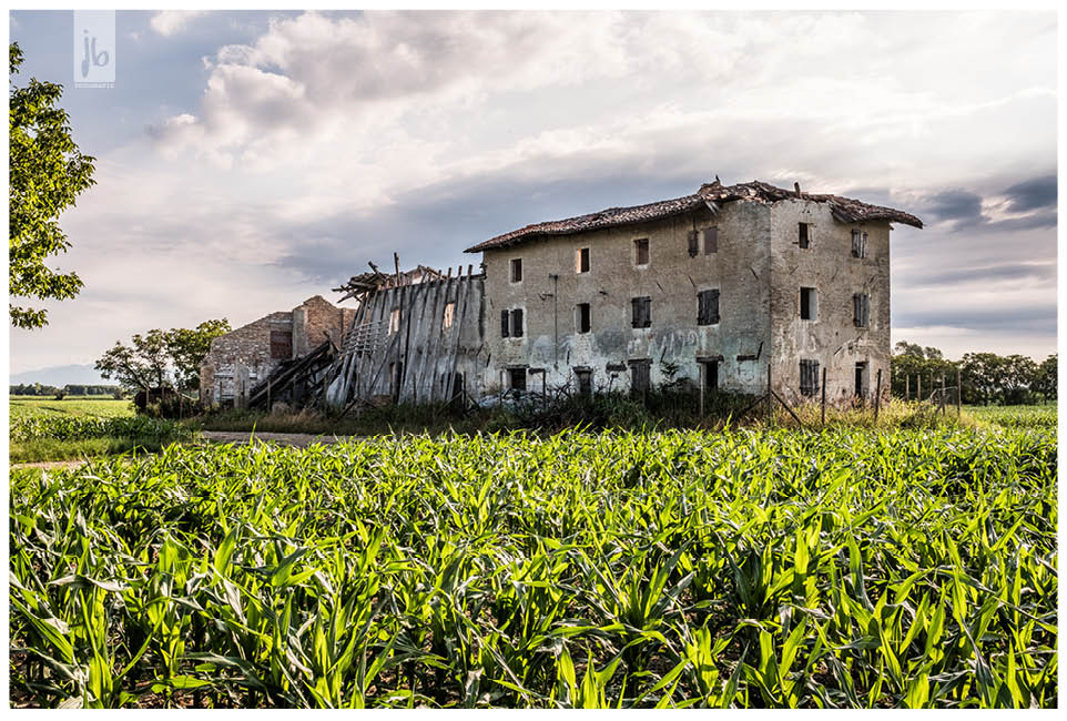 ein altes Gebäude hinter einem wachsenden Maisfeld in Italien