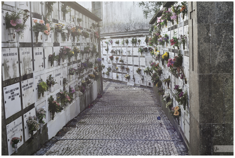 Urnengrab in Portugal mit schönen Blumen in den Vasen