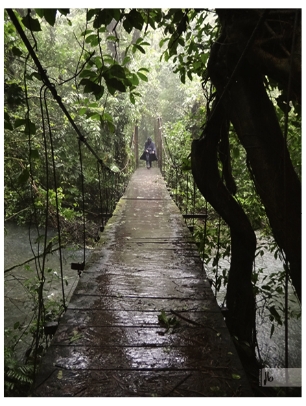 eine Brücke im Nebelwald von Costa Rica mit einer Person im Regenponcho die an Darth Vader erinnert und die Brücke überquert.