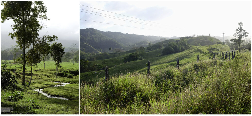 Landschaftsaufnahmen in Costa Rica mit wilden Wiesen und einem Bachlauf.