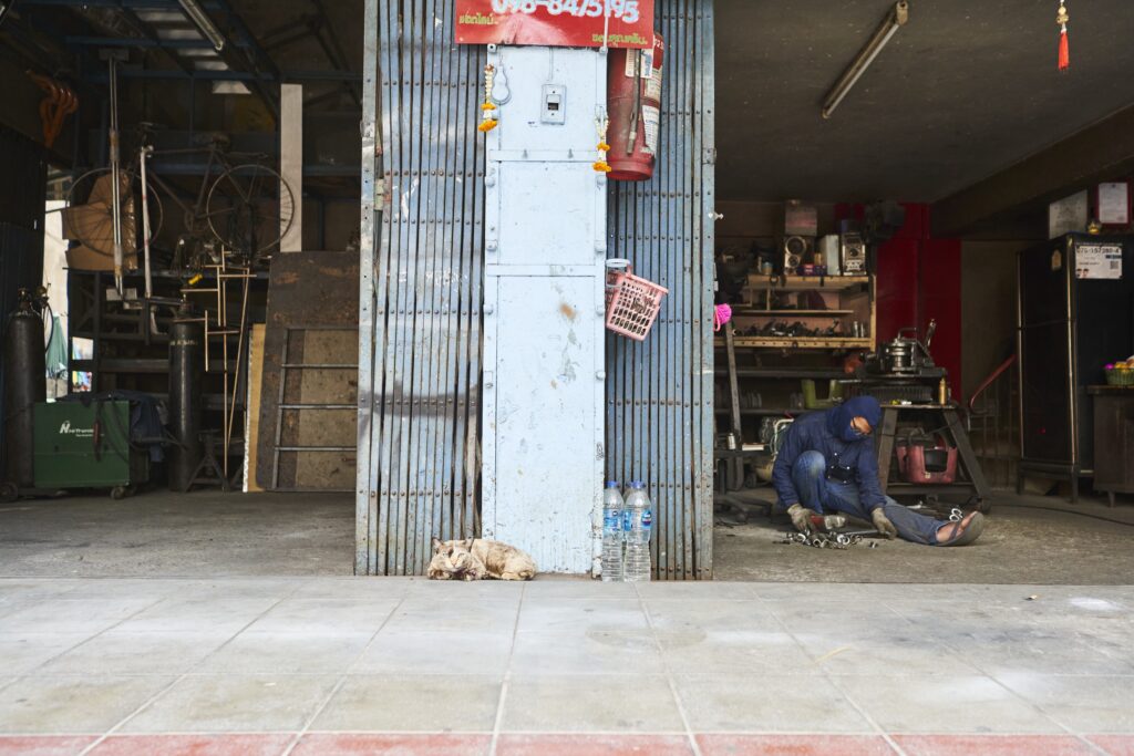 eine Katze liegt vor zwei Garagen in Bangkok, in einer davon arbeitet ein Mann auf dem Boden.