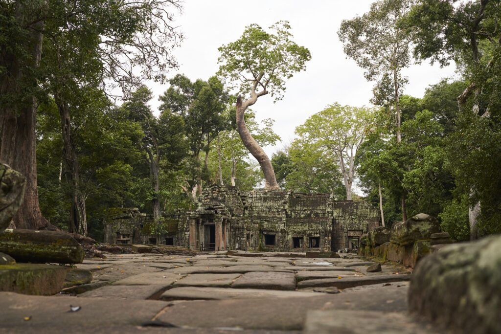 die schiefen Pflastersteine vor den Toren des Ta Prohm Tempels in Angkor Wat