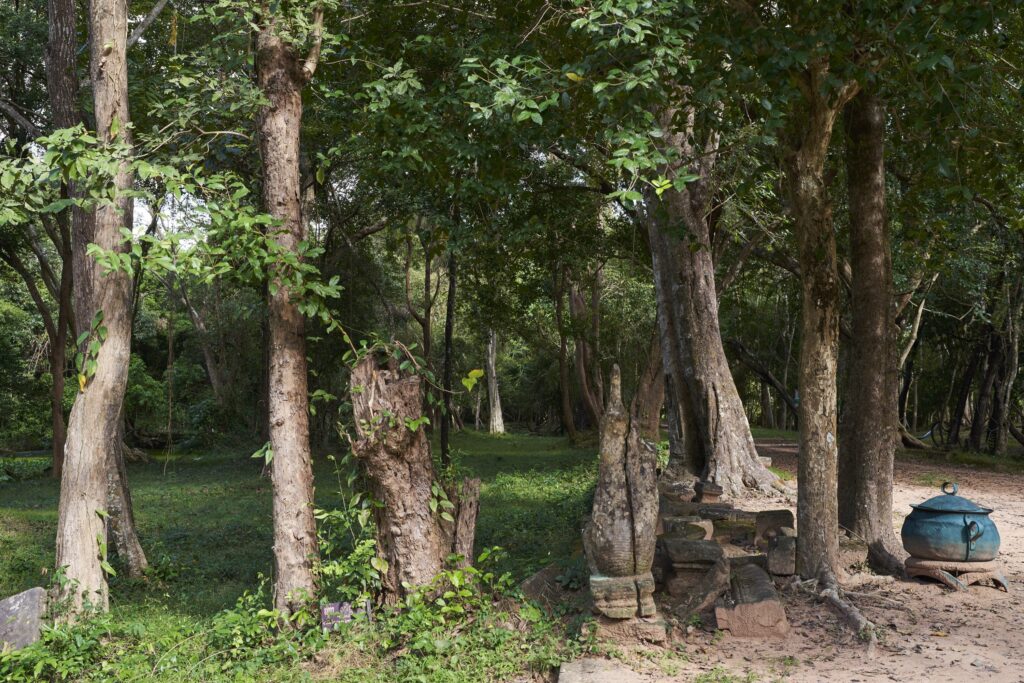 Bäume und ein Kessel im Tempel Prasat Beng Mealea in Angkor Wat