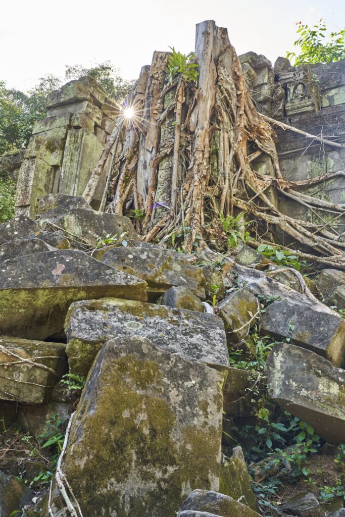 beindruckendes Wurzelwerk der Bäume im Tempel Prasat Beng Mealea in Angkor Wat