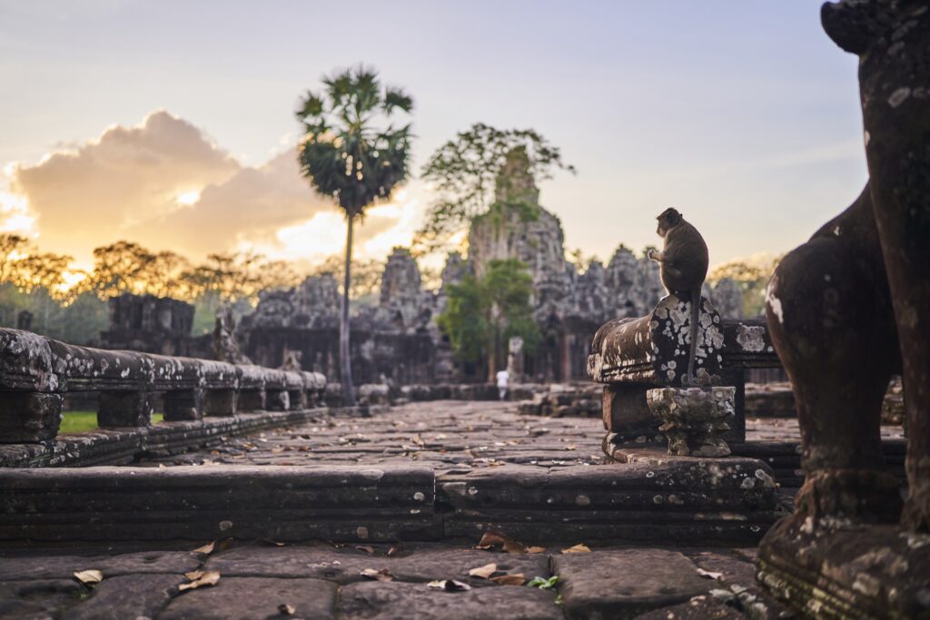 Ein Affe vor dem Bayon Temple in Angkor Wat