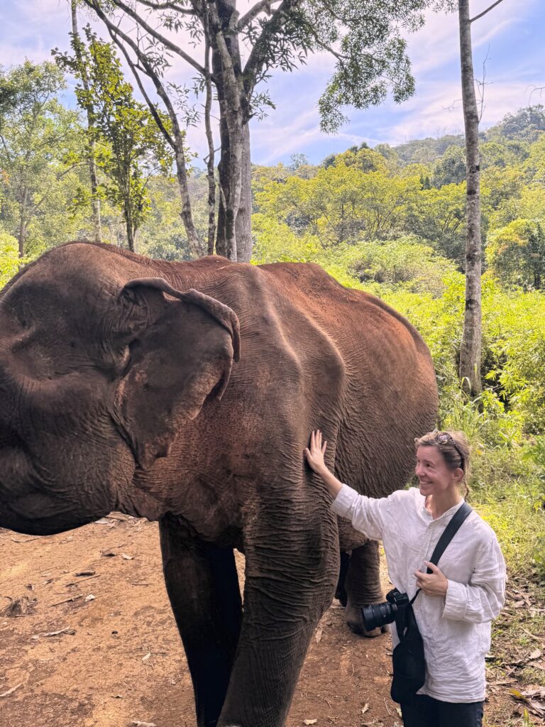 Eine Frau (ich) streichle den riesigen Elefant Sophie des Mondulkiri Projects in Senmonorom