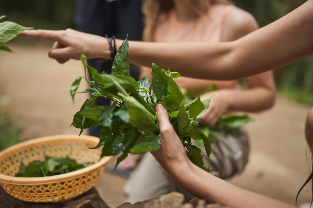 eine Frau hält viele Blätter in der Hand, die zum Kochen vorbereitet werden