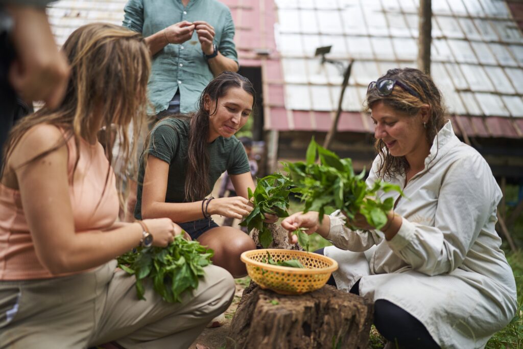 die Touristen kochen gemeinsam ihr Abendessen in der Unterkunft des Mondulkiri Projects in Senmonorom auf den Urwald und sein dichtes Blätterdach