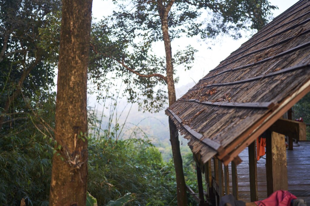 am Morgen ist der Regenwald nebelig in der Unterkunft des Mondulkiri Projects in Senmonorom