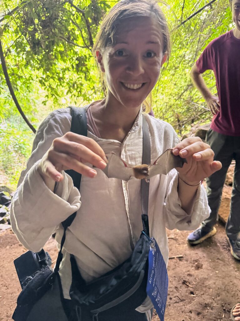 Eine Frau (ich) hält eine Fledermaus an ihren Flügeln fest