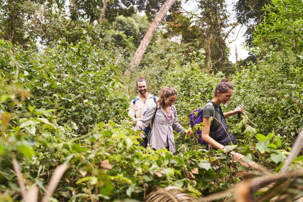 die Gruppe bahnt sich einen Weg durchs Dickicht auf einer 18km langen Wanderung durch den Dschungel im Mondulkiri Project