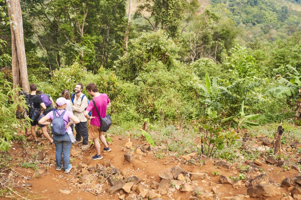 Der Weg hinab ist recht steil von der Bananenplantage in den Dschungel hinein 