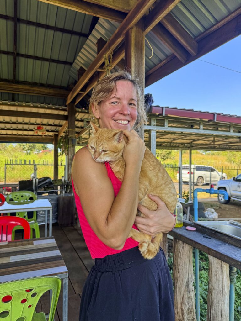 Eine Frau (ich) halte eine orange Katze auf dem Arm