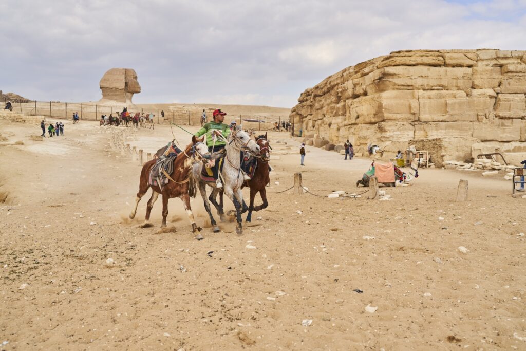 Ein Reiter treibt sein Pferd und zwei weitere dicht daneben an, sie gallopieren auf die Kamera zu, im Hintergrund die Sphinx