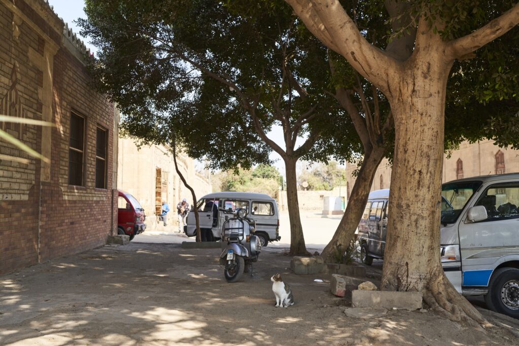 eine Katze auf dem Gehweg in der Stadt der Toten in Kairo