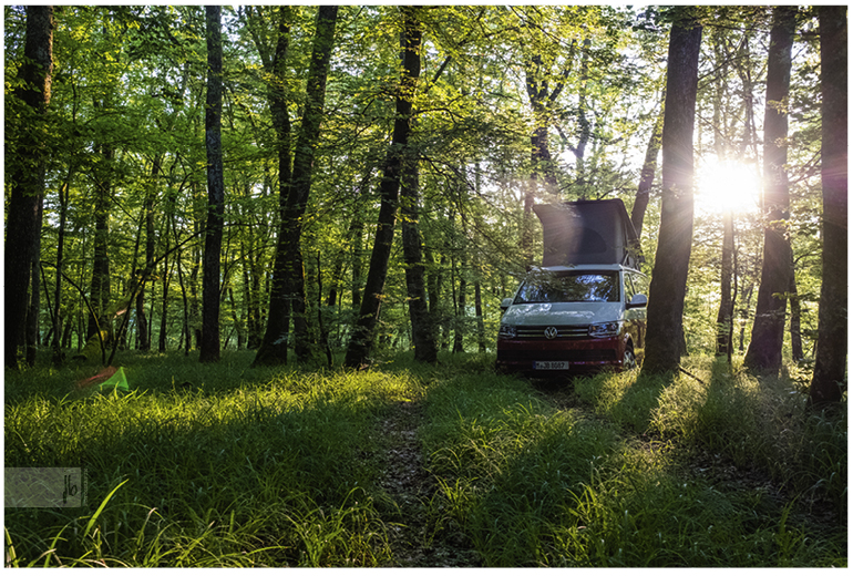 der VW Bus California Ocean in rotweiß auf seiner Wildcampingstelle in Schaffhausen