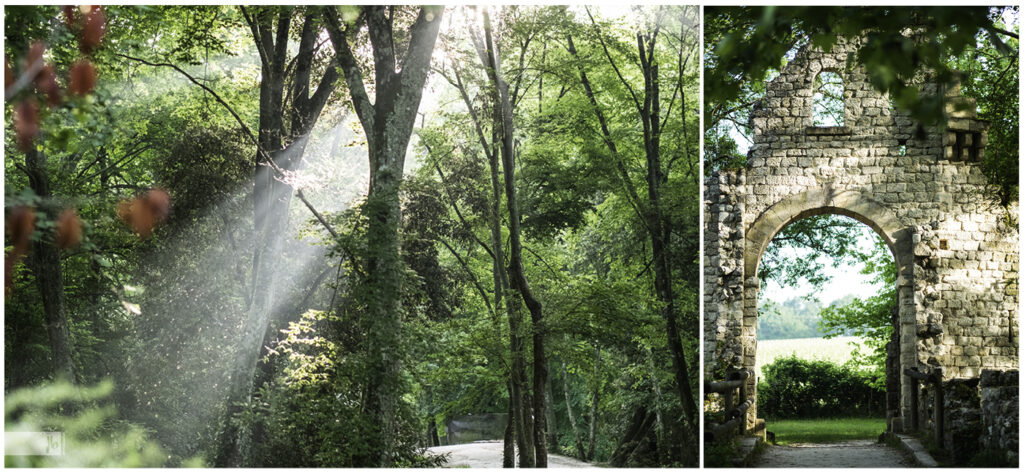 ein Park in der Nähe von Bordeaux mit schönem Lichteinfall und tollen Ruinen